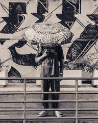 [UNISEX] MAYONAIZE X LOCO MOSQUITO AUTOMATIC CLIP-ON UMBRELLA: Alternate View #8