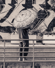 [UNISEX] MAYONAIZE X LOCO MOSQUITO AUTOMATIC CLIP-ON UMBRELLA: Alternate View #9