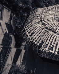 [UNISEX] MAYONAIZE X LOCO MOSQUITO AUTOMATIC CLIP-ON UMBRELLA: Alternate View #12